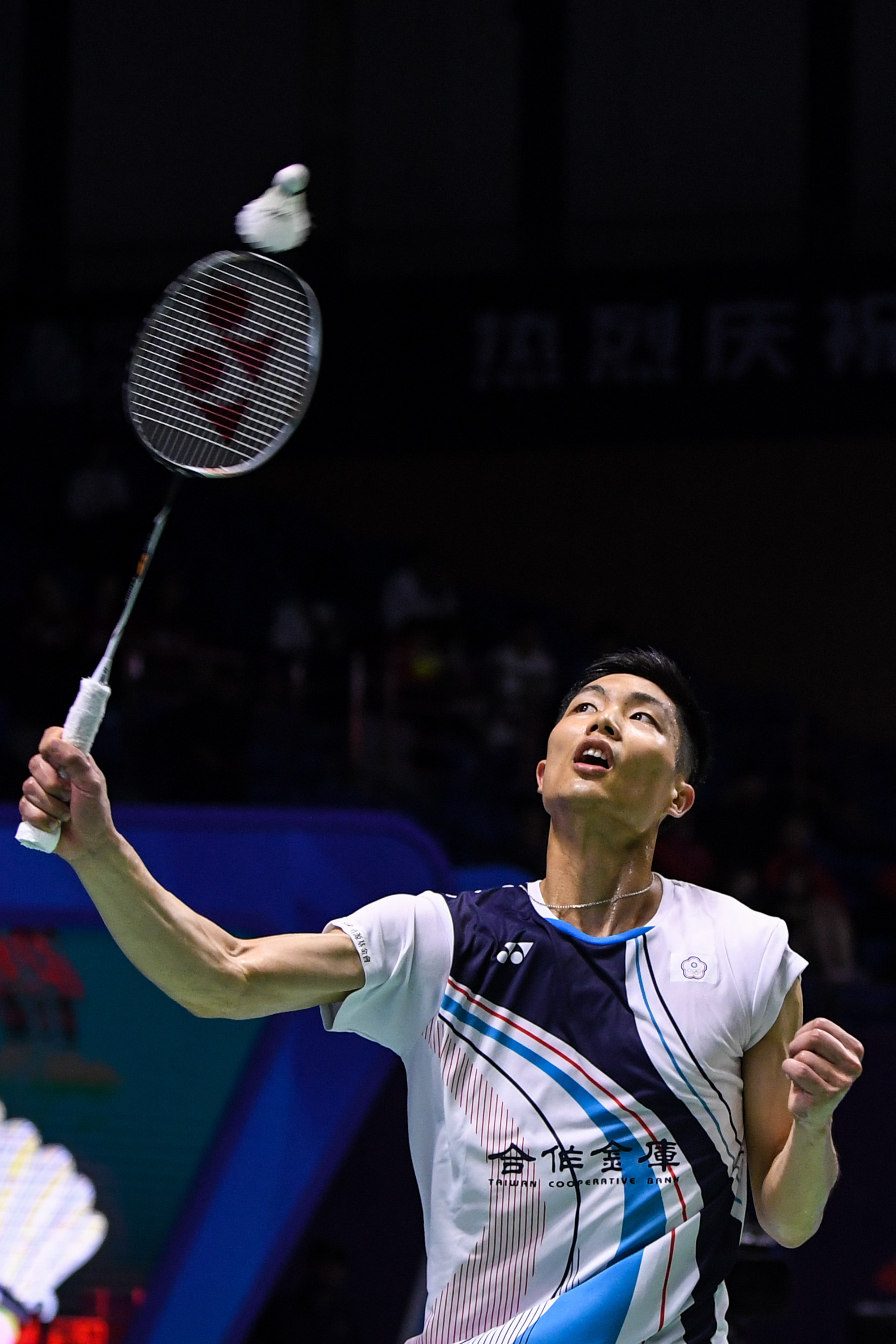 科尔的百胜 科尔的百胜